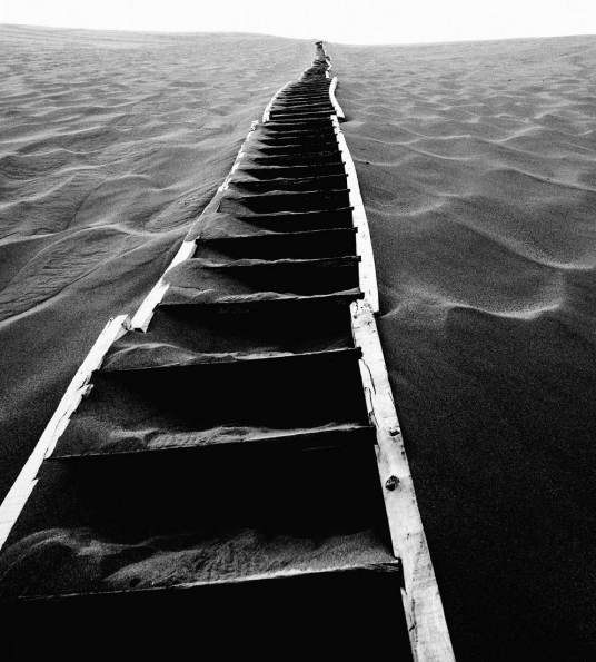 天堂之路(撒冷创作的网络小说)