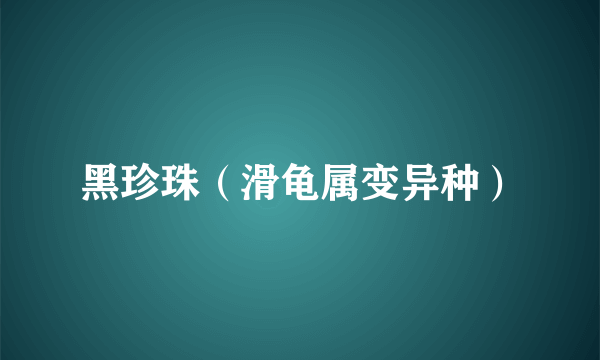 黑珍珠(滑龟属变异种)