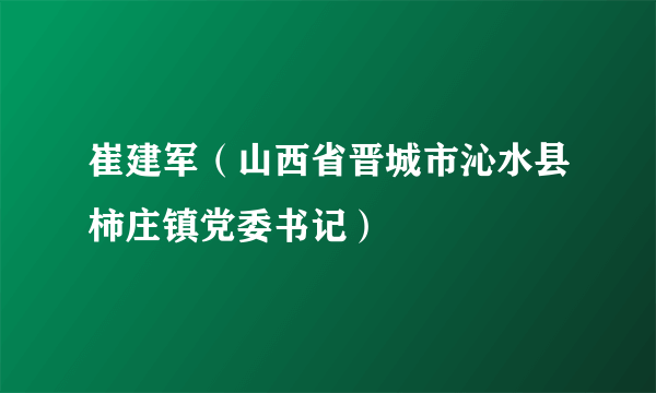 崔建军（山西省晋城市沁水县柿庄镇党委书记）