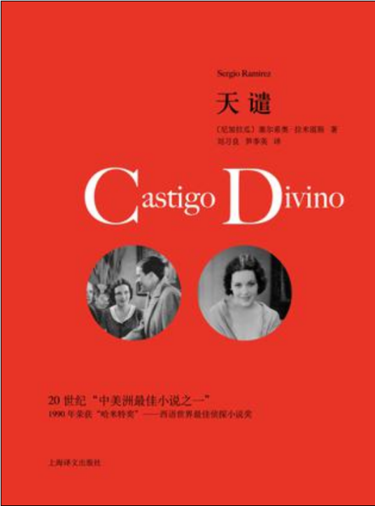 天谴(2017年上海译文出版社出版的图书)