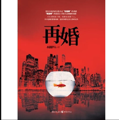 再婚（2012年重庆出版社出版的图书）
