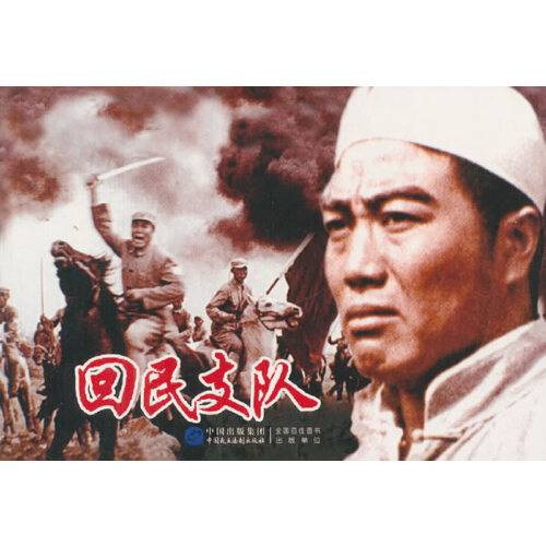 回民支队(2015年中国民主法制出版社出版的图书)