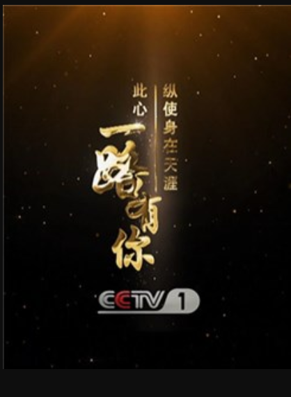 一路有你(中央电视台综合频道人文励志纪录片节目)