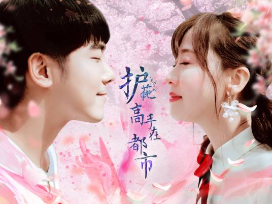 护花高手在都市(温哲轩、赵凌彬等主演电视剧)