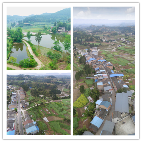 石龙镇（四川省南充市南部县下辖镇）