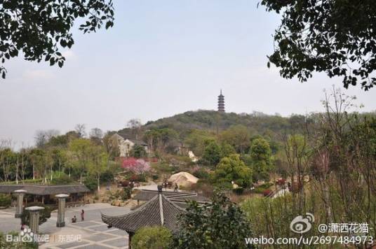 东山(浙江省海宁市东山)