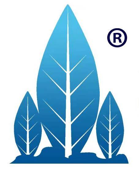 中大国际集团有限公司