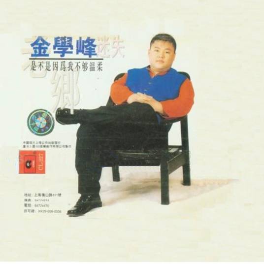 老乡（1997年金学峰演唱的歌曲）