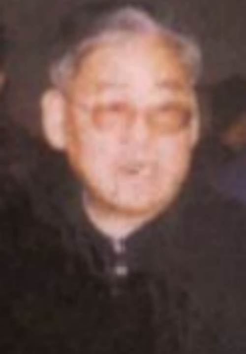 白桦(天津市前副市长)