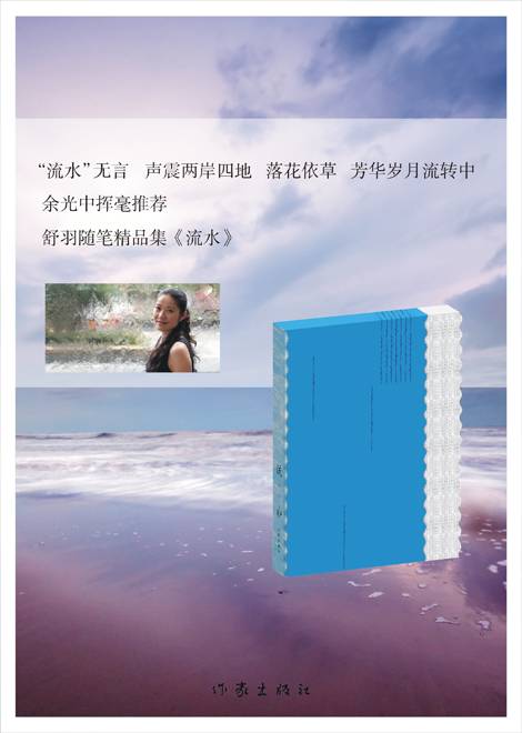 流水(2013年作家出版社出版的图书)