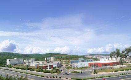 辽宁科技大学信息技术学院