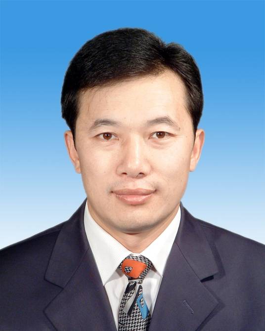 陈岩(中共洛阳理工学院党委原书记)