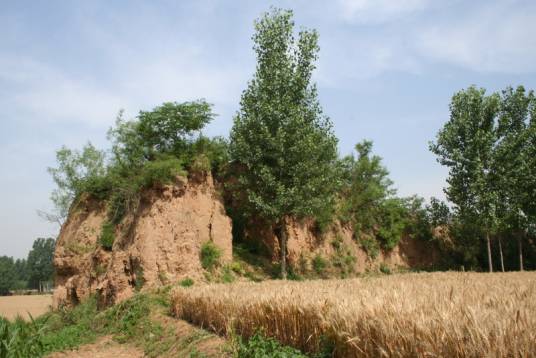 康城村(河南省禹州市下辖村)