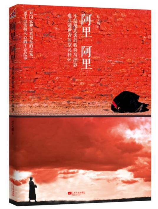 阿里阿里(2012年江苏文艺出版社出版的图书)