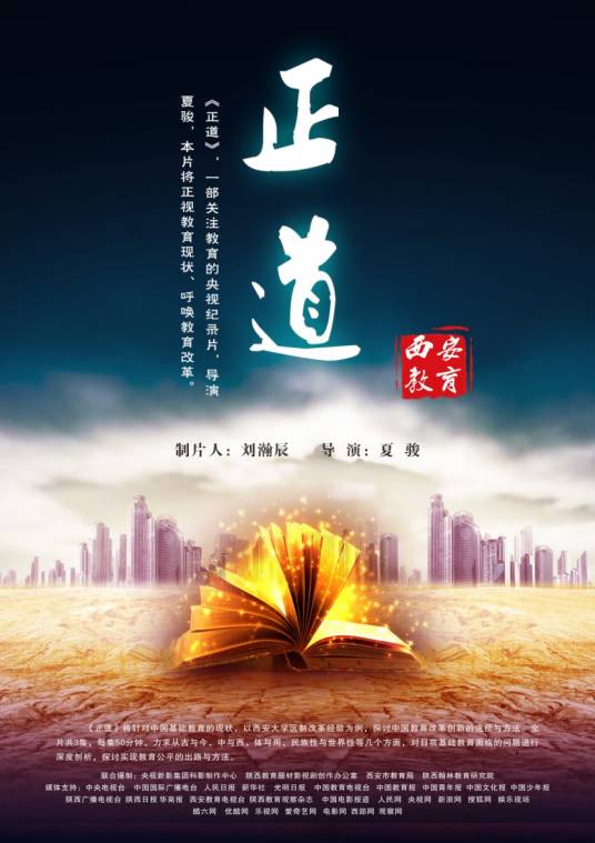 正道(夏骏执导的纪录片)