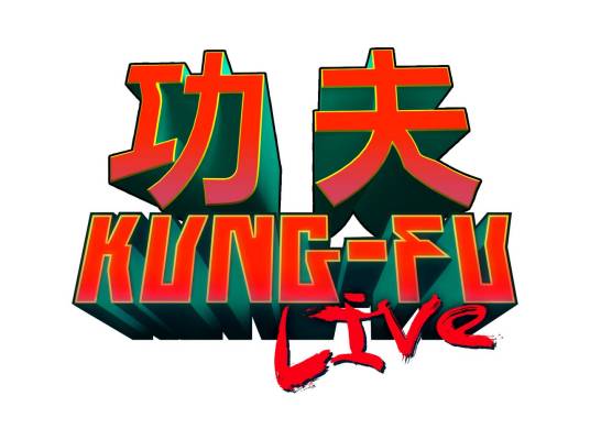 功夫(中国大陆2012年联合绿动发行的电脑游戏)