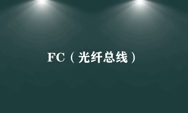 FC(光纤总线)