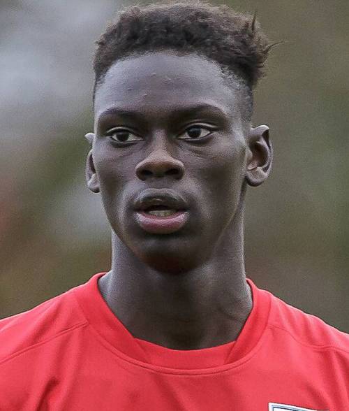 伊德里萨·图雷