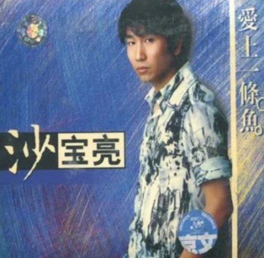 青春日记(沙宝亮演唱歌曲)