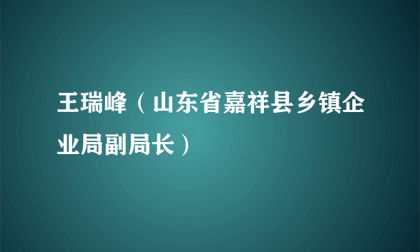 王瑞峰（山东省嘉祥县乡镇企业局副局长）